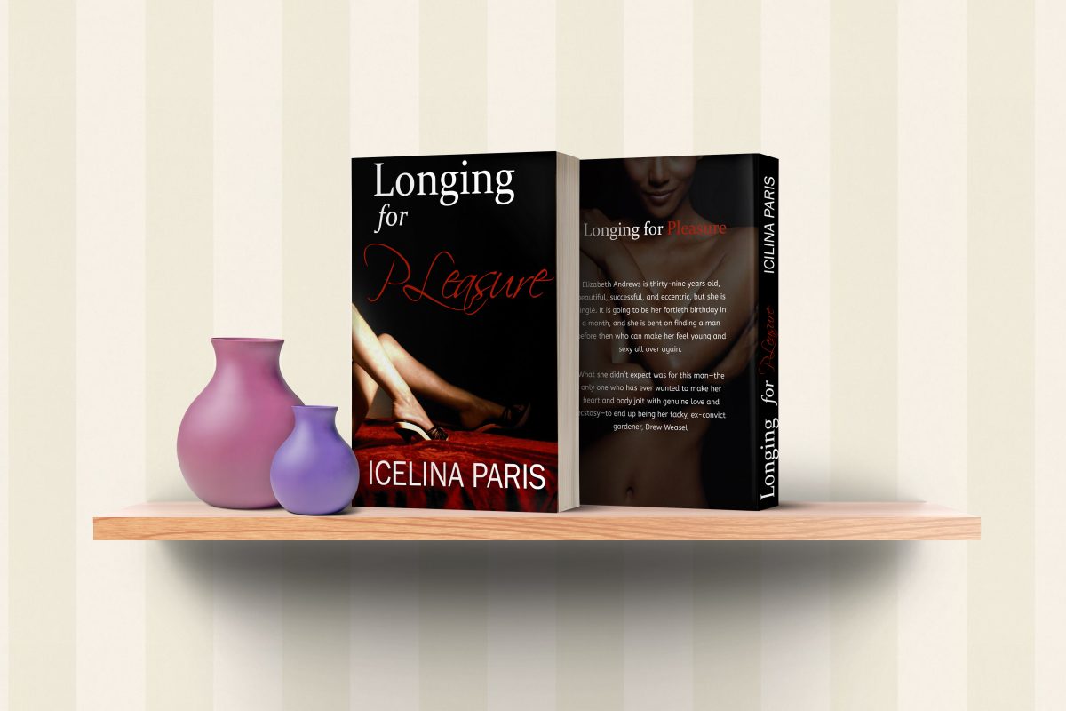 Book Cover Design 4